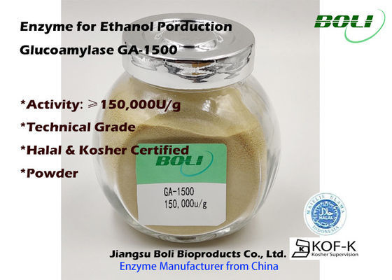 Powder Glucoamylase Enzyme GA-1500 150000 U / G